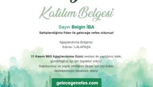 Cumhur İttifakı’ndan fidan dikme akımı