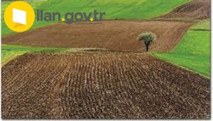 Edirne Merkez'de 21.000 m² tarla mahkemeden satılıktır 