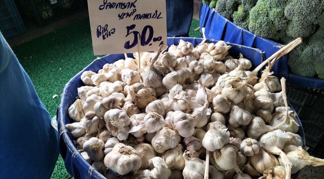 Sarımsak fiyatı el yakıyor