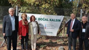 ‘Söğütlük doğal kalsın’
