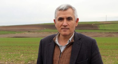 Buğday, kışa ‘dayanıklı’ giriyor