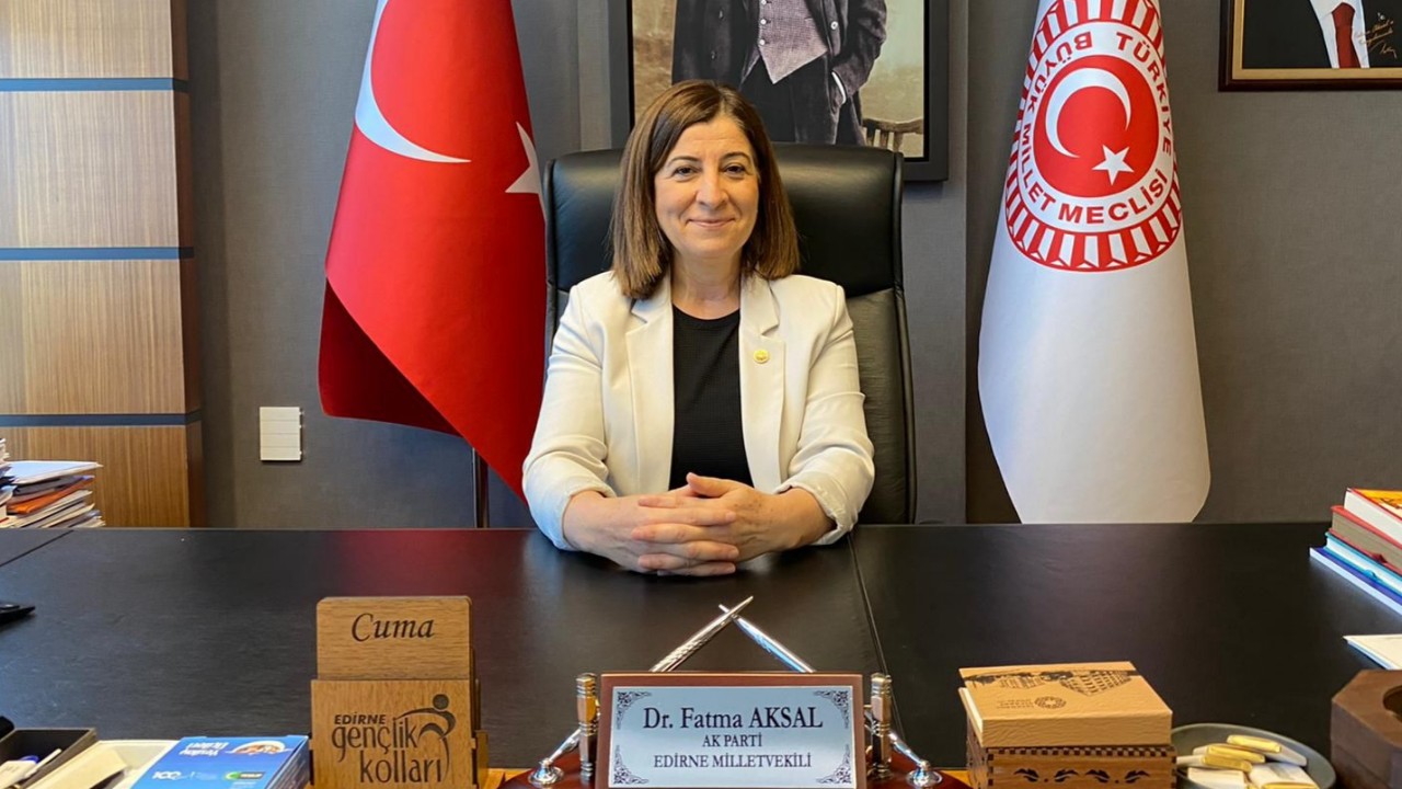 ‘Trakya, doğal gazda merkez olma yolunda’