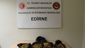 Trüf mantarı ve kehribar taşı ele geçirildi