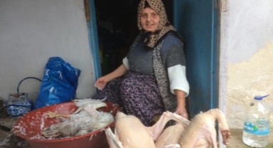 Yılbaşı hindilerinin yerini kazlar aldı