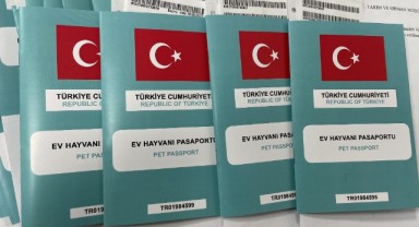 41 bin 715 evcil hayvan kayıt altına alındı