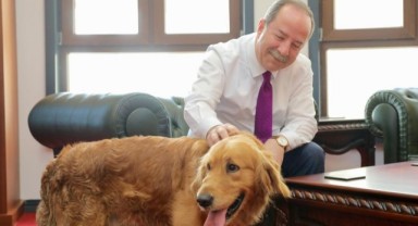 Atatürk Kültür Merkezi’nin “Şanslı” sı