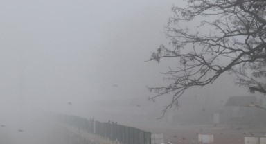 Edirne’de göz gözü görmedi