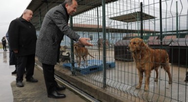 Edirne sokak canlarını sahipleniyor