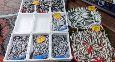 Fırtına hamsi fiyatlarını vurdu