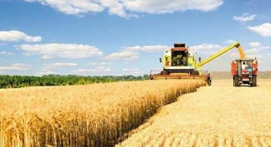 ‘Girdiler düşmediği müddetçe fiyatlar düşmez’