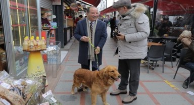 Gürkan ve Foks Saraçlar Caddesi’nde