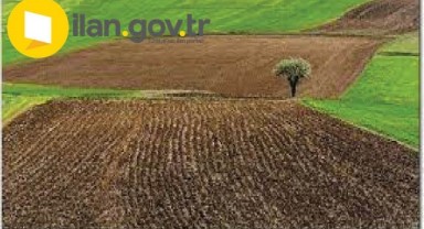 Tekirdağ Hayrabolu'da 32.175 m² tarla icradan satılıktır