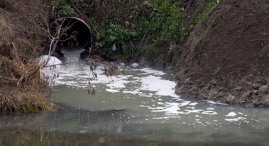 Tunca Nehri'ne atık su salınmasına çevrecilerden tepki