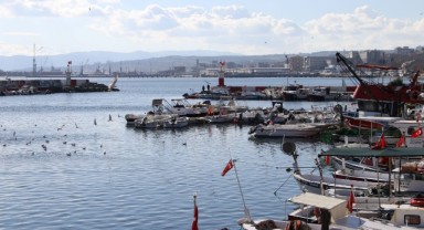 Balıkçılar kıyıya karidesle döndü