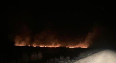 Gala Gölü Milli Parkı’ndaki yangın korkuttu