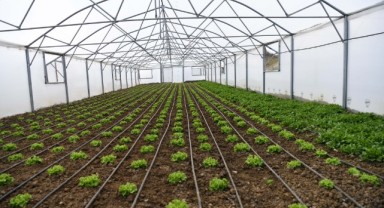 ‘Keşan Sera Koop’ kuruluyor