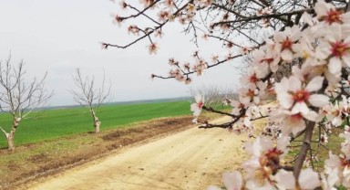 Cemreler doğayı uyandırdı