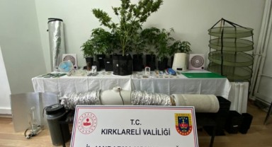 Evine uyuşturucu tarlası kuran zanlı gözaltında