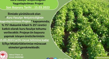 Üreticilere yüzde 75 hibeli kuru fasulye tohumu