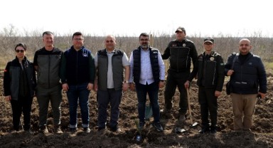 AA çalışanları Edirne'de 103 fidan dikti