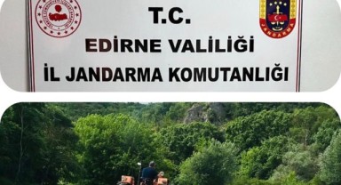 228 bin kök kenevir ele geçirildi