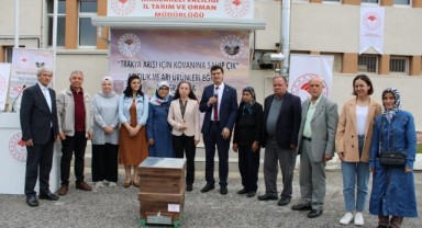 Arı üreticilerine 1400 kovan