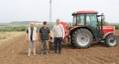Yerli hibrit ayçiçeği tohumları toprakla buluşuyor