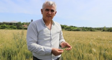 Balkan Tohumcular Birliği kuruldu