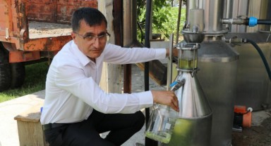 Lavanta yağının fiyatı göz dolduruyor