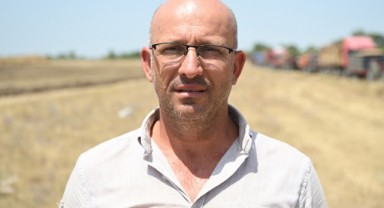 Aşırı sıcaklar ayçiçeğini de etkiledi