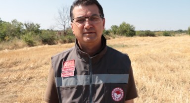 Bahar yağmurları buğday üreticisini sevindirdi