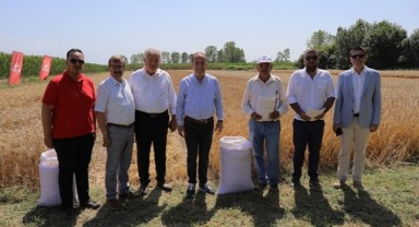 Cumhuriyet çiftliğinde harman zamanı