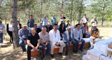 Damızlık 'Ana Arı Üretimi' projesi