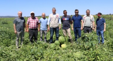 Devlet destekli karpuzların hasadı yapıldı