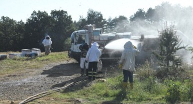 Feci trafik kazasında 4 kişi öldü