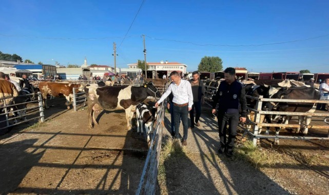 Havsa Canlı Hayvan Pazarı kapatıldı