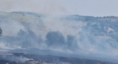 Keşan'da çıkan anız yangını söndürüldü