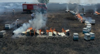 Yangın gezgin arıcıların yardımıyla söndü