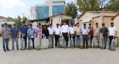 5,5 milyon sazan balığı göllere salındı