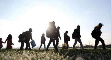 Edirne'de 46 düzensiz göçmen yakalandı
