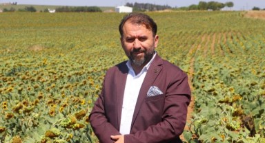 'Sıcaklar ayçiçeği rekoltesini düşürebilir'