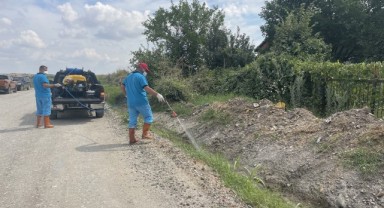 Sivrisineklerle ilaçlı mücadele sürüyor