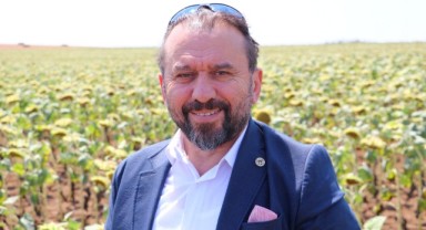 Yerli hibrit ayçiçekleri sıcaklıktan daha az etkilendi