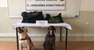 6 kilo 938 gram esrar ele geçirildi