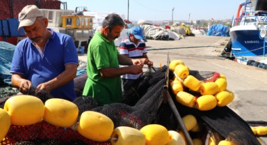 Balıkçıların ağları hamsiyle doluyor