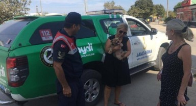 ‘Dostlarımızı yazlıklarda başıboş bırakmayın’