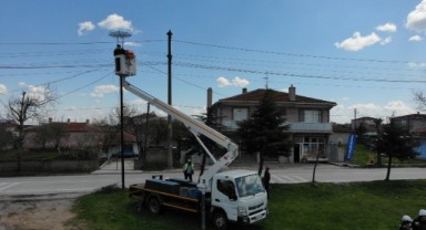 Leylekler göç yolunda güvende