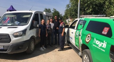 Sokak hayvanlarına jandarma dokunuşu