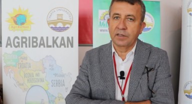 Toprak altı damla sulama su tasarrufu sağlıyor