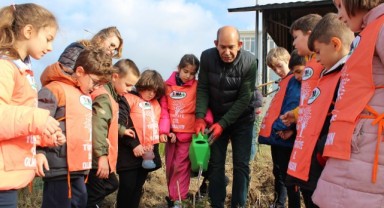 100’üncü yıla 100’er çam ve gül